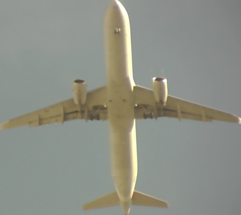 Airplane Picture