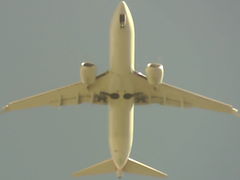 Airplane Picture