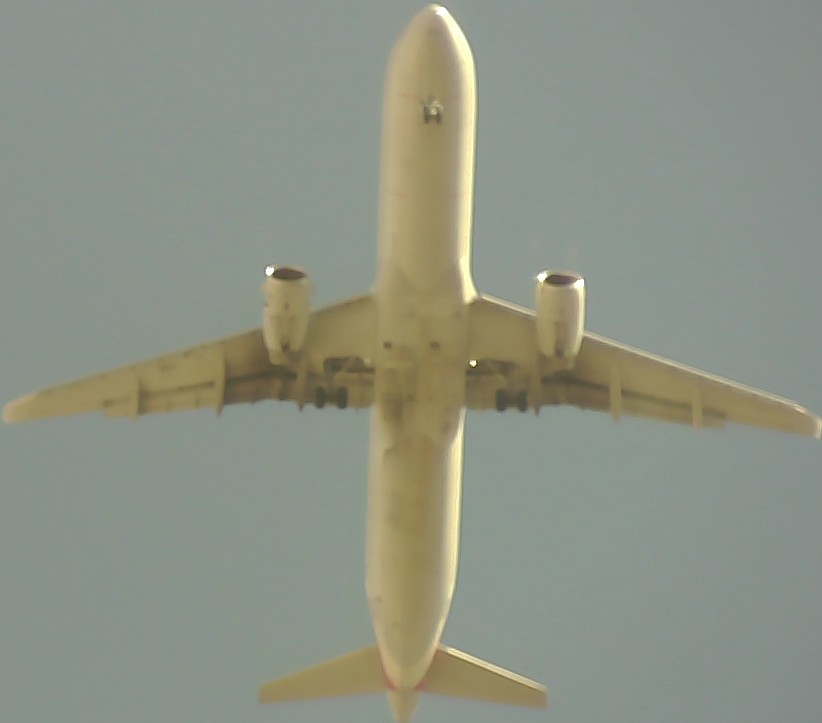 Airplane Picture