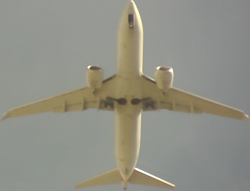 Airplane Picture
