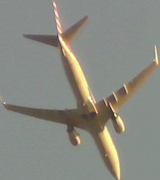 Airplane Picture
