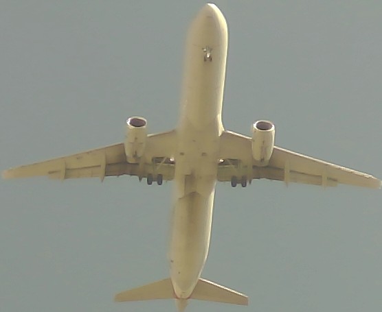 Airplane Picture