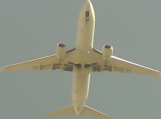 Airplane Picture