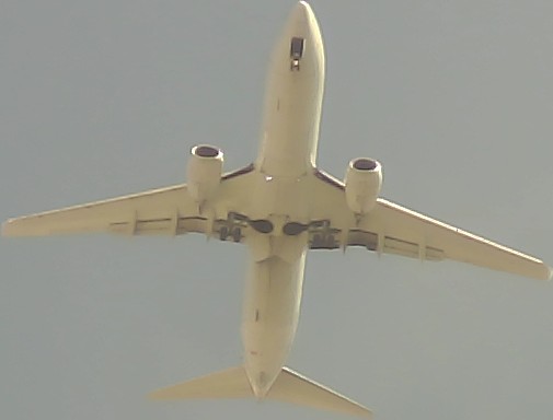Airplane Picture