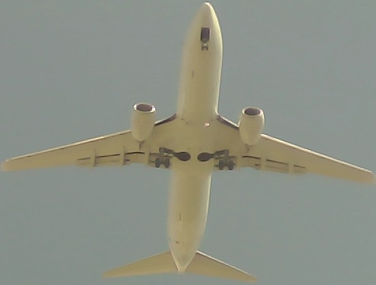 Airplane Picture
