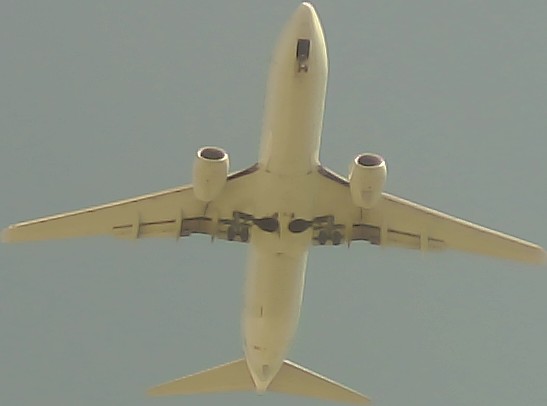 Airplane Picture