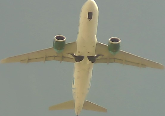 Airplane Picture