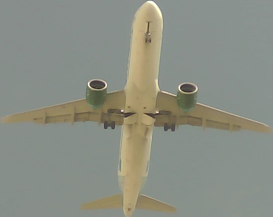 Airplane Picture