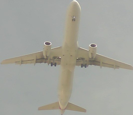 Airplane Picture