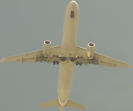 Airplane Picture
