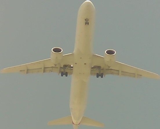Airplane Picture