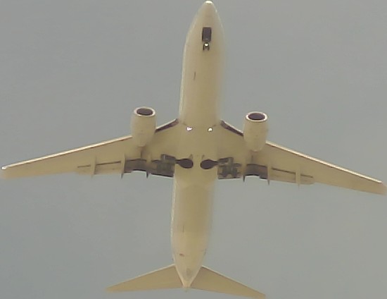 Airplane Picture