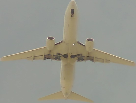 Airplane Picture