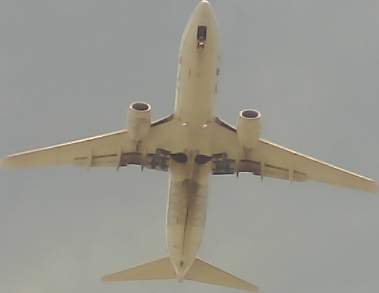 Airplane Picture