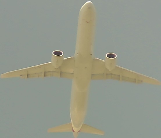 Airplane Picture