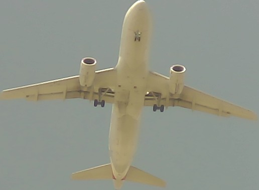 Airplane Picture