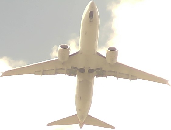 Airplane Picture
