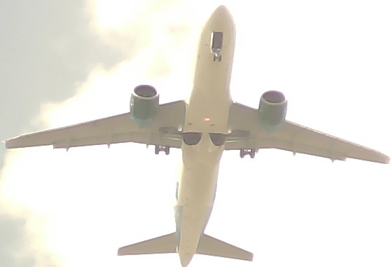 Airplane Picture
