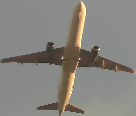Airplane Picture