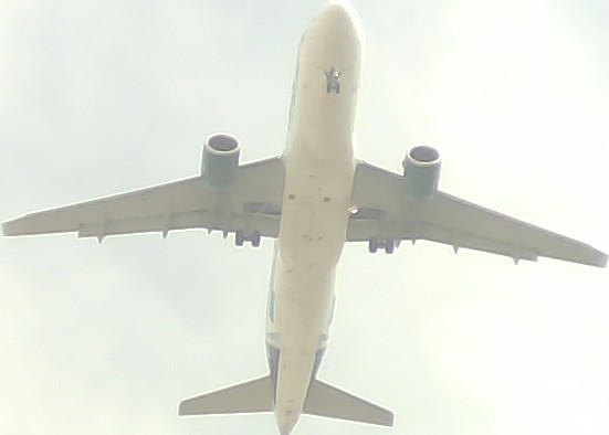 Airplane Picture