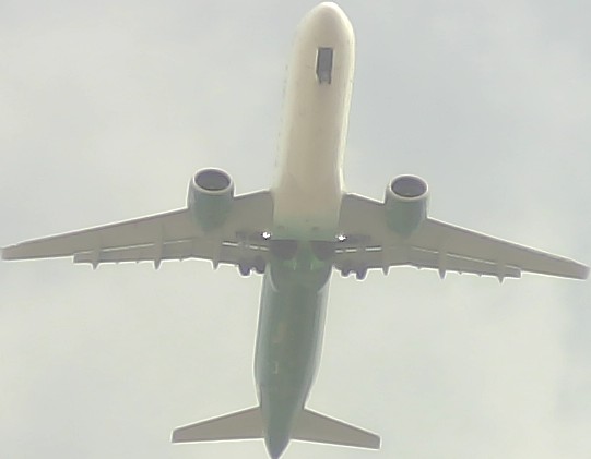 Airplane Picture