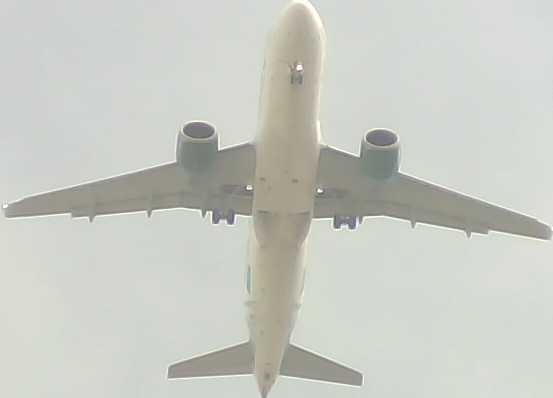 Airplane Picture