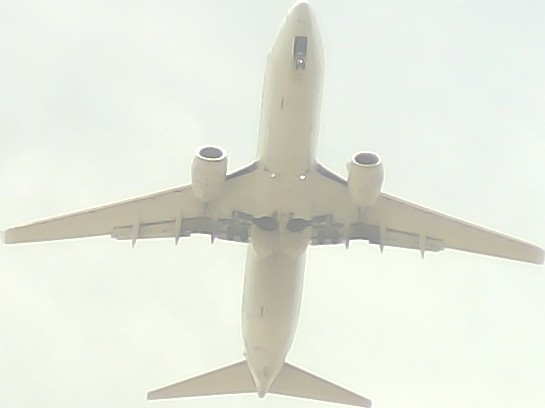 Airplane Picture