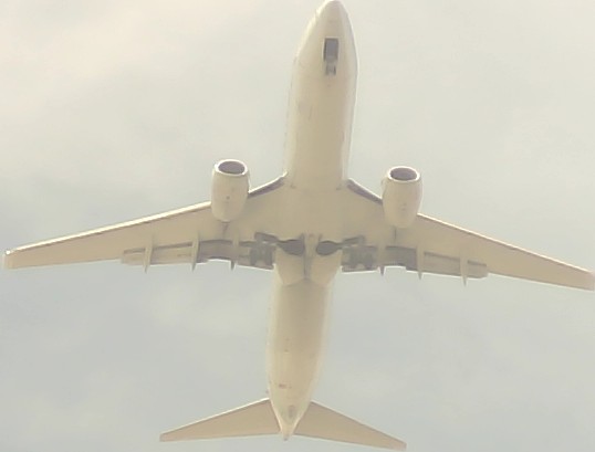 Airplane Picture