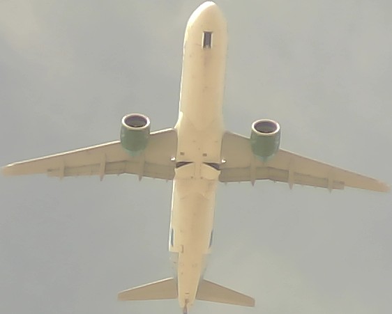 Airplane Picture