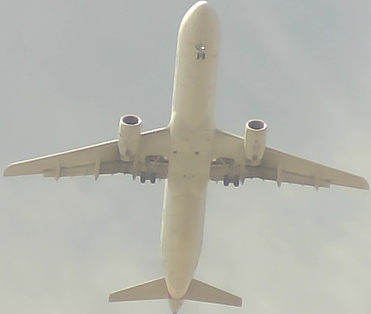 Airplane Picture