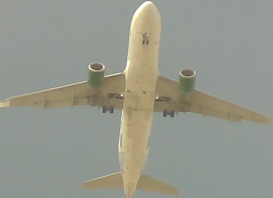 Airplane Picture