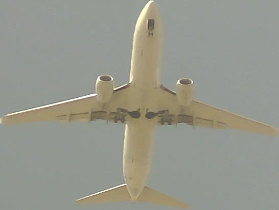 Airplane Picture