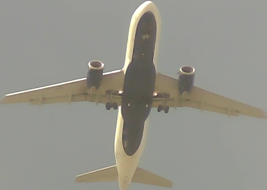 Airplane Picture