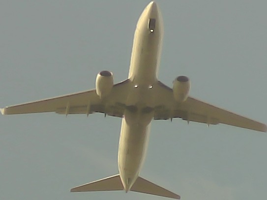 Airplane Picture