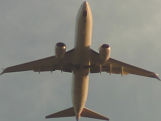 Airplane Picture