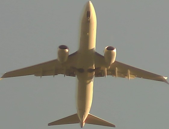 Airplane Picture