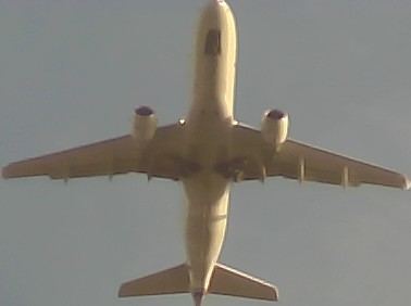 Airplane Picture