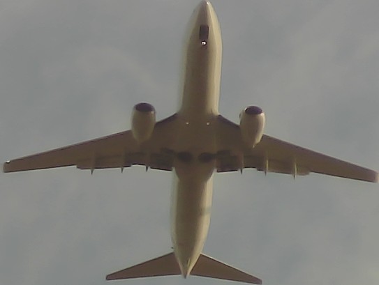 Airplane Picture