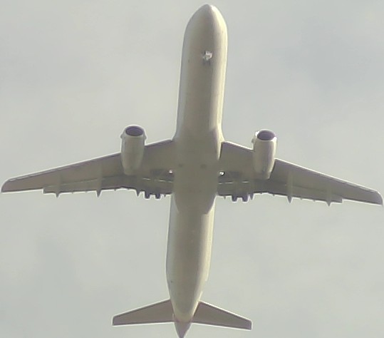 Airplane Picture