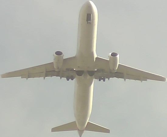 Airplane Picture