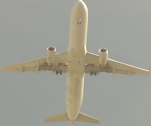 Airplane Picture