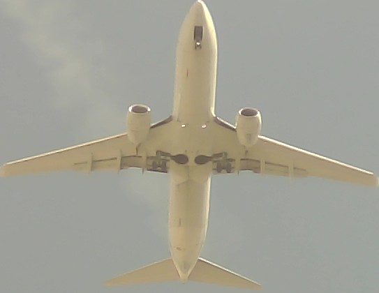 Airplane Picture