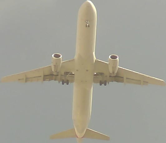 Airplane Picture