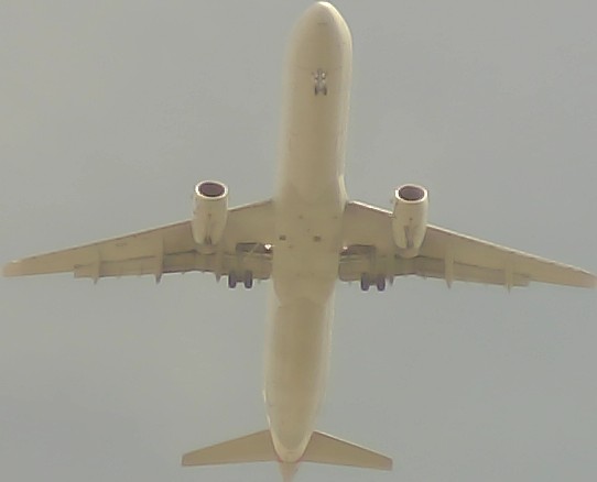 Airplane Picture