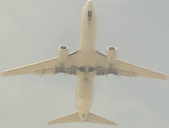 Airplane Picture