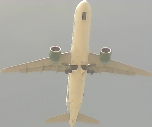Airplane Picture