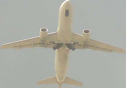 Airplane Picture