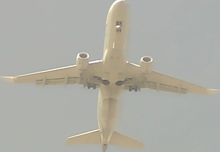 Airplane Picture
