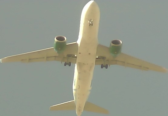 Airplane Picture