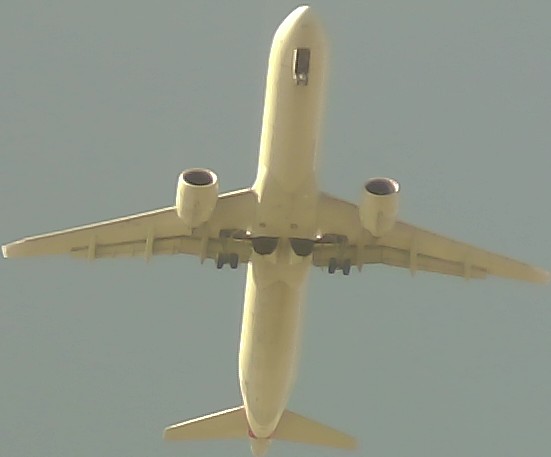 Airplane Picture